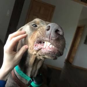 Meet your Posher, Mike